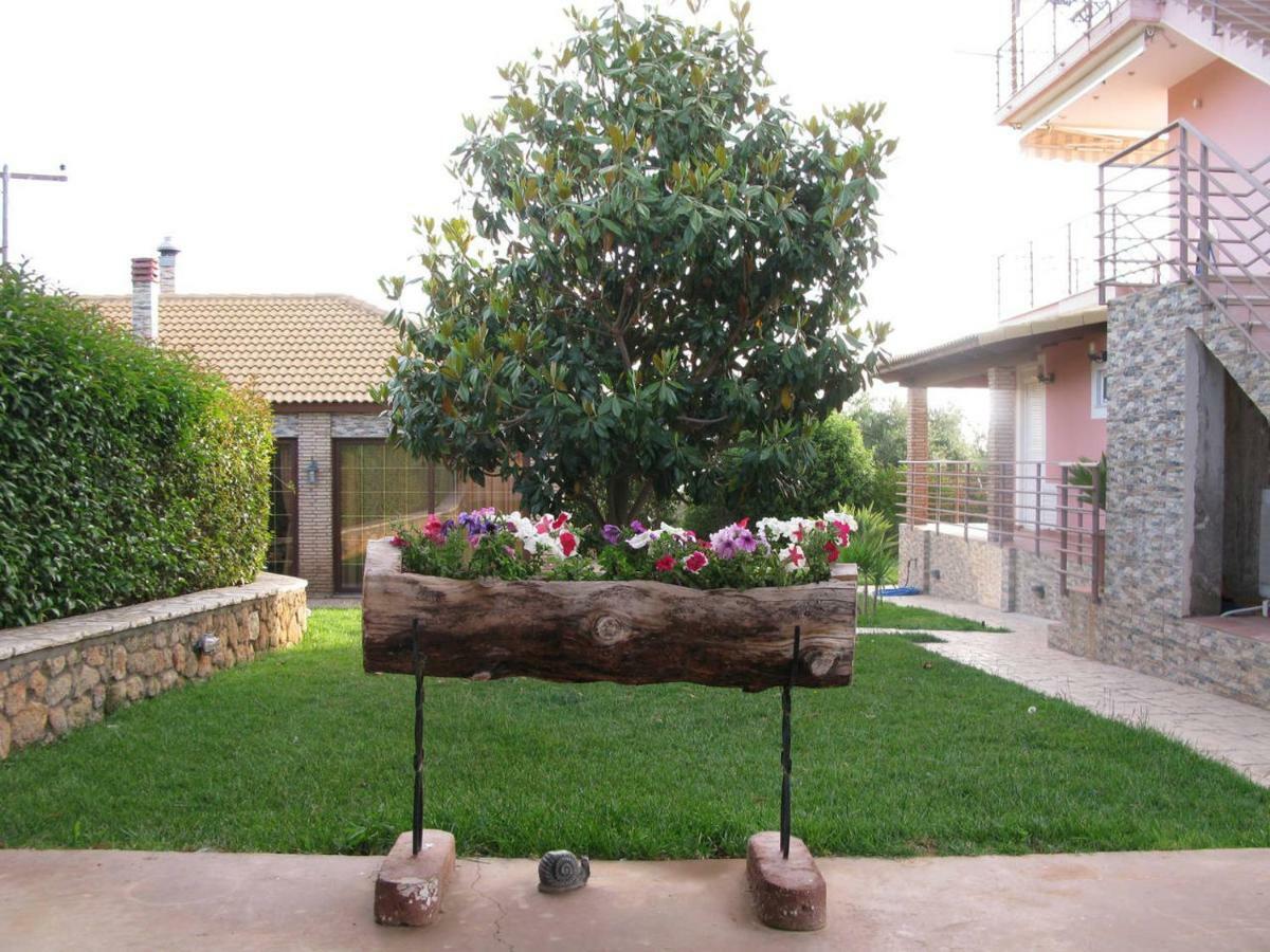 Cozy Flats In An Olive Grove By The Sandy Beach Kánalos 外观 照片